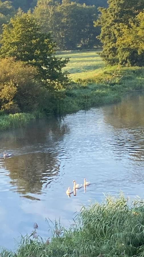 Idyllische Ferienwohnungen In Mossendorf Blick Zur Naab 布尔格伦根费尔德 外观 照片